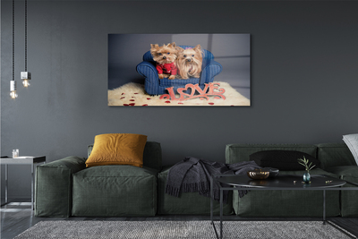 Quadro de vidro Yorkies