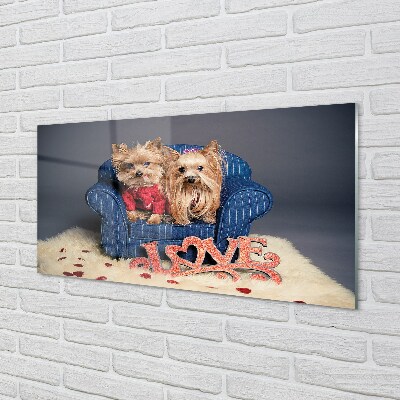 Quadro de vidro Yorkies
