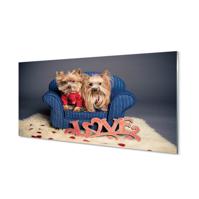 Quadro de vidro Yorkies