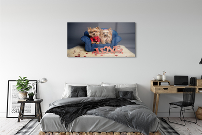 Quadro de vidro Yorkies