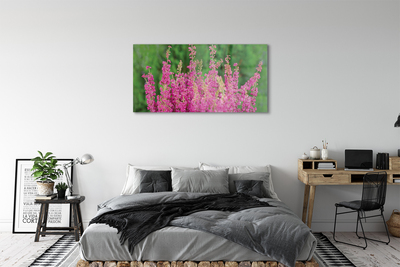 Pintura em vidro Flores de urze