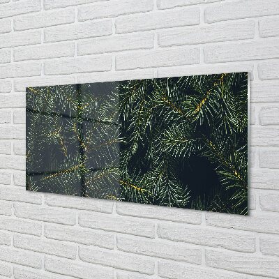 Quadro de vidro galhos de árvores de natal
