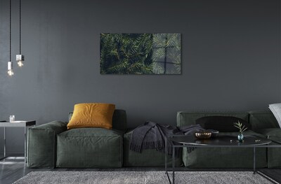 Quadro de vidro galhos de árvores de natal