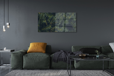 Quadro de vidro galhos de árvores de natal