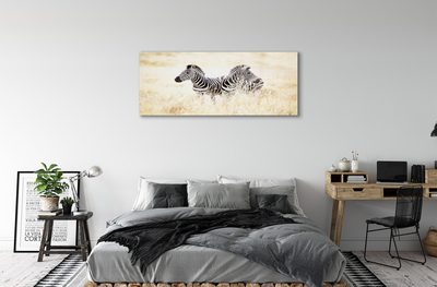 Quadro de vidro Campo de zebras