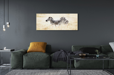 Quadro de vidro Campo de zebras