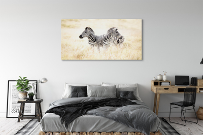 Quadro de vidro Campo de zebras