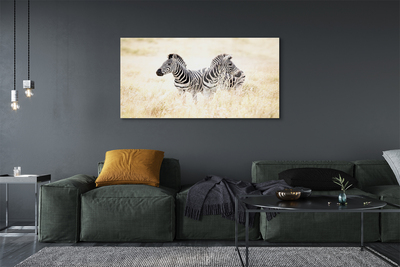 Quadro de vidro Campo de zebras