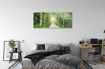 Quadro de vidro Bétulas da floresta da estrada