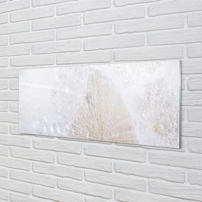 Pintura em vidro Resumo de gotas de dente-de-leão