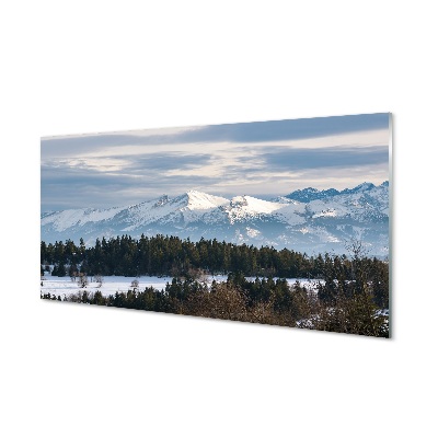 Quadro de vidro Montanhas neve de inverno