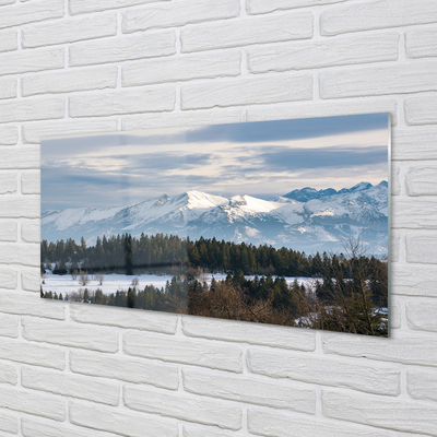 Quadro de vidro Montanhas neve de inverno