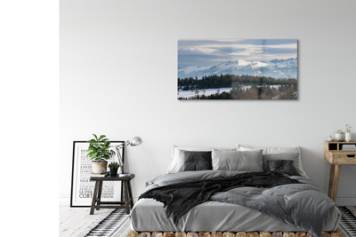 Quadro de vidro Montanhas neve de inverno