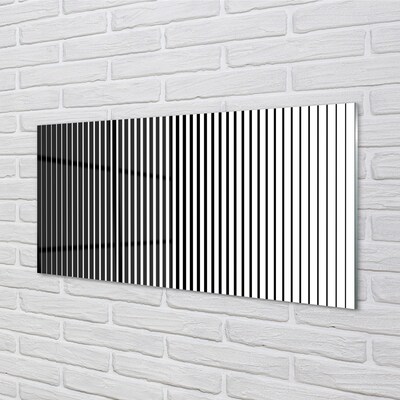 Quadro de vidro Transição de listras de zebra