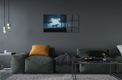 Quadro de vidro Unicórnio da noite da floresta
