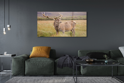 Pintura em vidro Campo de veados