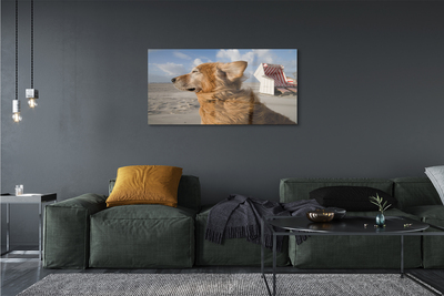 Pintura em vidro Praia para cães marrons