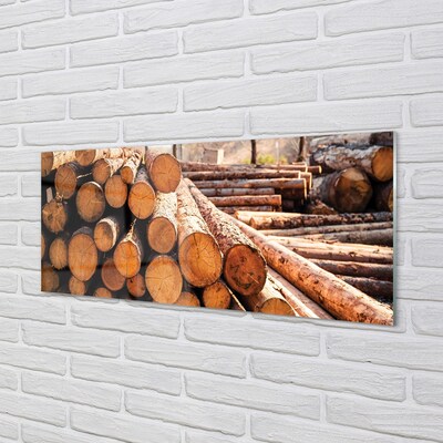 Quadro de vidro Armazenamento de toras de madeira