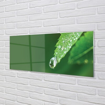 Quadro de vidro Gota de água em uma folha