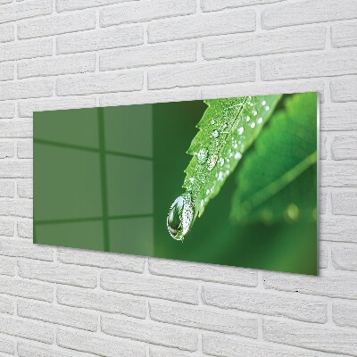 Quadro de vidro Gota de água em uma folha