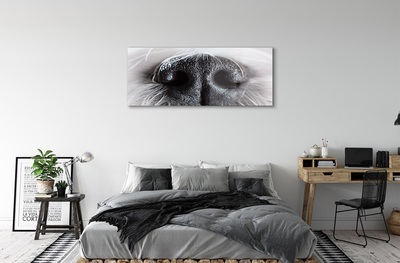Quadro de vidro nariz de cachorro