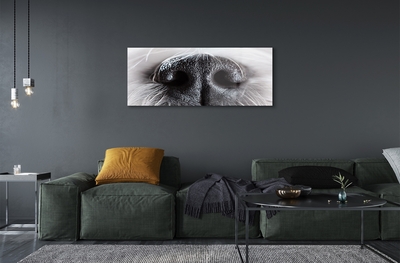 Quadro de vidro nariz de cachorro