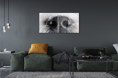 Quadro de vidro nariz de cachorro