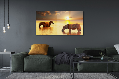 Quadro de vidro Zebras na água do pôr do sol