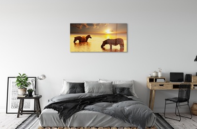 Quadro de vidro Zebras na água do pôr do sol