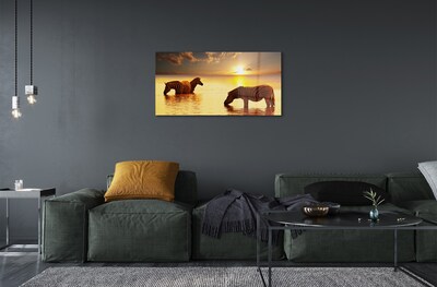Quadro de vidro Zebras na água do pôr do sol