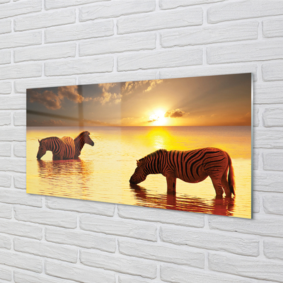 Quadro de vidro Zebras na água do pôr do sol