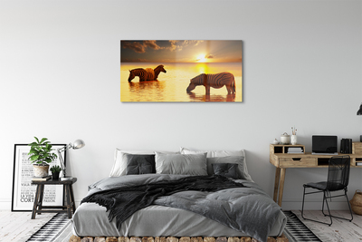 Quadro de vidro Zebras na água do pôr do sol