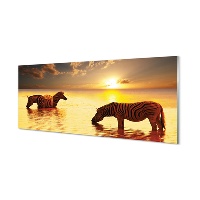 Quadro de vidro Zebras na água do pôr do sol