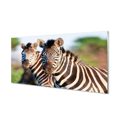 Pintura em vidro Zebras