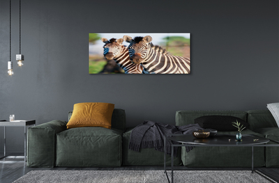 Pintura em vidro Zebras