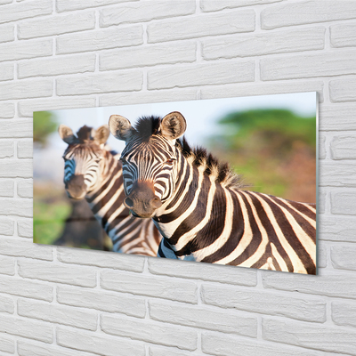 Pintura em vidro Zebras