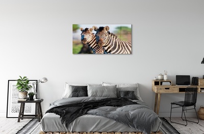 Pintura em vidro Zebras