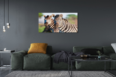 Pintura em vidro Zebras