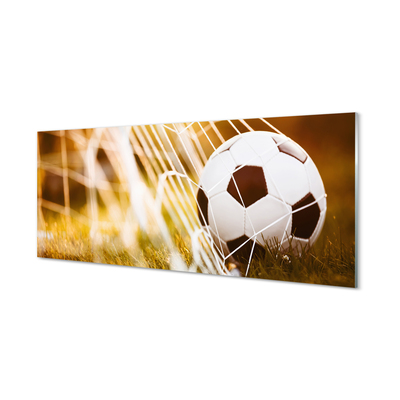 Quadro de vidro Bola amarela em fundo de grama