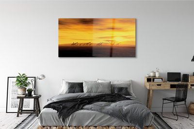 Pintura em vidro Girafa árvore nuvens céu