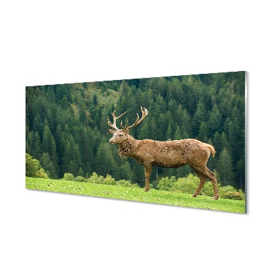 Pintura em vidro Veado no campo