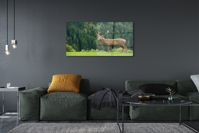 Pintura em vidro Veado no campo