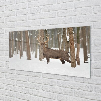 Quadro de vidro Floresta de inverno de veados