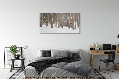 Quadro de vidro Floresta de inverno de veados