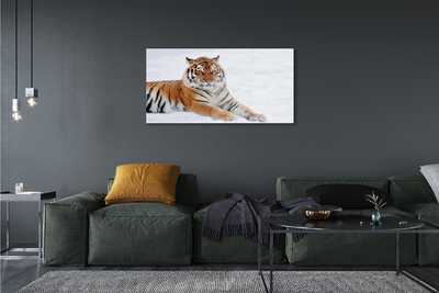 Quadro de vidro Tigre de neve do inverno