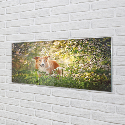 Quadro de vidro Flores da floresta para cães