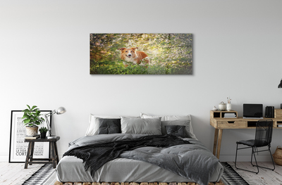 Quadro de vidro Flores da floresta para cães