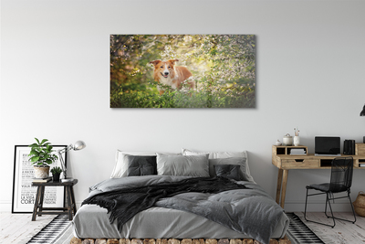 Quadro de vidro Flores da floresta para cães