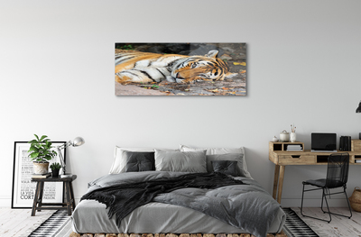 Quadro de vidro Tigre mentiroso