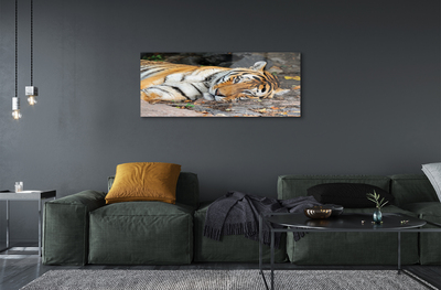 Quadro de vidro Tigre mentiroso